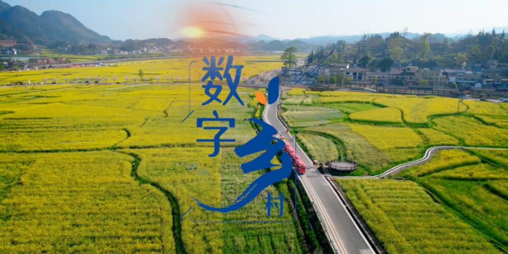 8項指標24項重點任務 “十五五”數字鄉村建設路線圖出爐
