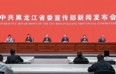 連續三年獲全國考核優秀等級 黑龍江產改工作取得重要階段性成效