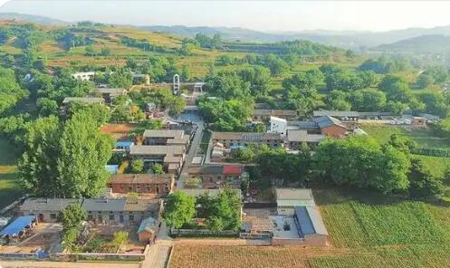 山西臨汾安澤縣：深耕細作特色產業 多元賦能鄉村振興