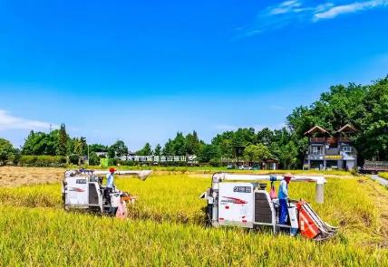 四川力爭到“十五五”末，全省農業科技進步貢獻率提高到70%