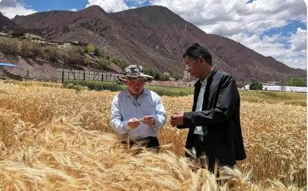 西藏昌都：惠民固本紓民困 科技賦能促增收