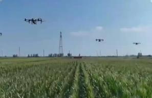 夏糧入倉超1億噸 秋糧收購準備就緒