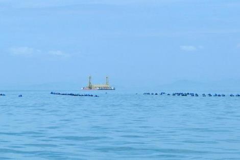 福州·鄉村加“數”前行　“魚”與“漁”的數字實踐