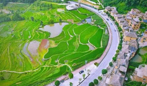 黨建強 產業興 群眾富 邊疆穩　云南元陽走出特色鄉村振興實踐路徑