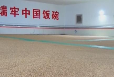 超4.5萬億元、超180萬噸……守住管好“大國糧倉” 保障國家糧食安全