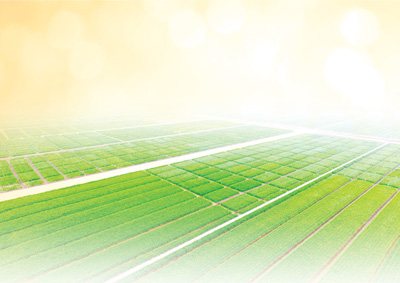 輕松種田 科學種田 ——春耕，打好高質量發展底色