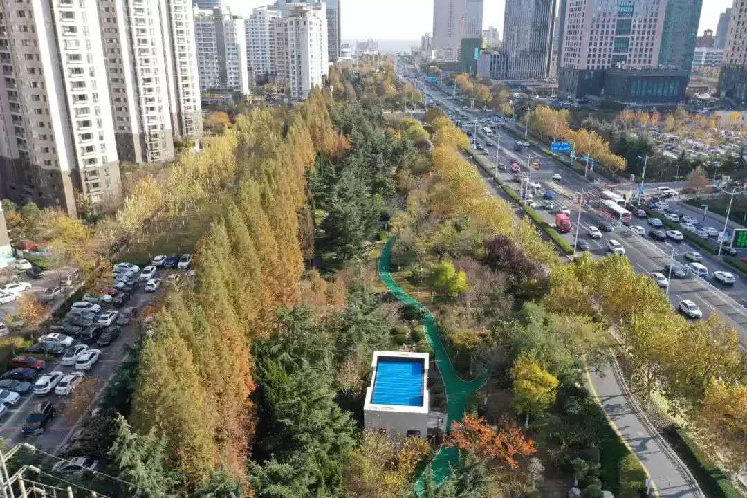 計劃新造林6萬畝 青島今年將著力構建城鄉一體“大綠化”格局