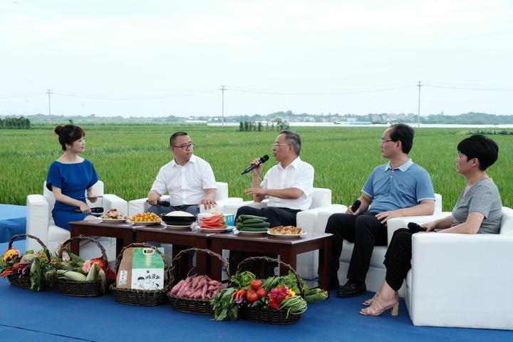 “守好飯碗田！” 浙江迎接第30個全國土地日 