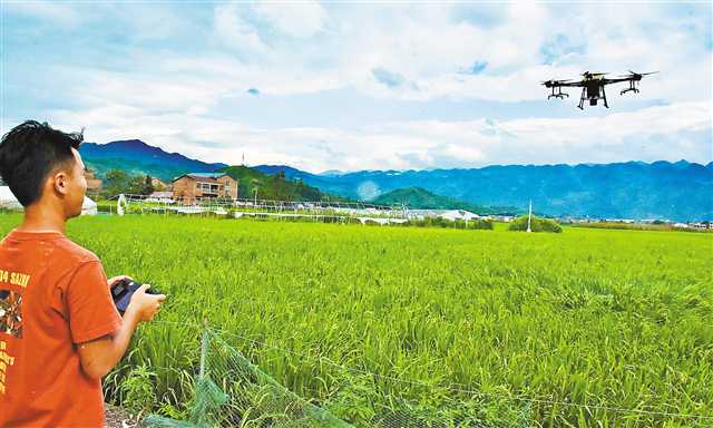 農業蝶變 農場搬線上 輕松當農民