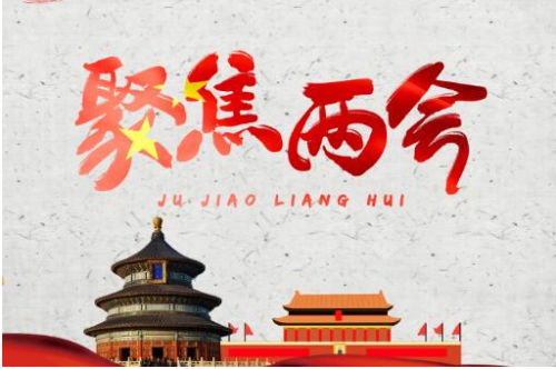兩會看點：未來“互聯網+”仍是趨勢 佰材網順勢而為
