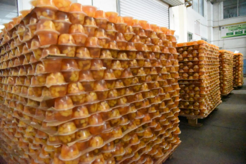 營銷產品兩手抓，天韻國際迎來大好局面