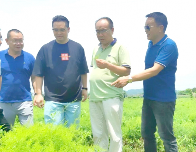 黃海波會長深入指導廣西金旮旯生態產業園向更高質量發展