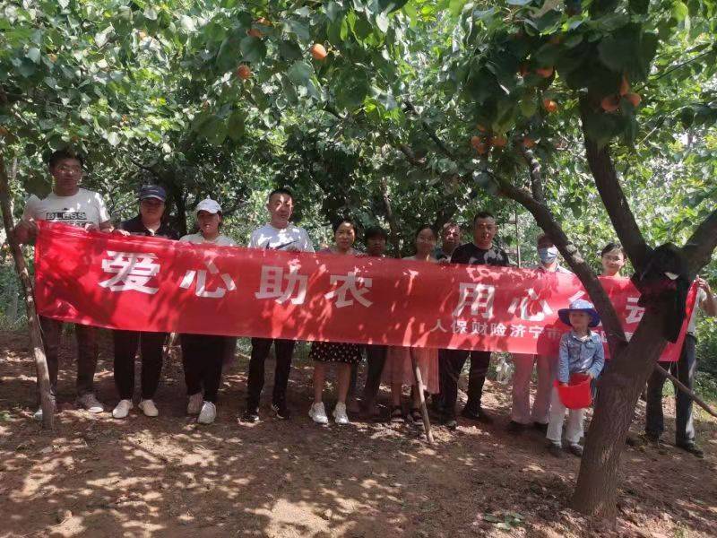 人保財險濟寧市分公司 愛心助農 用心行動