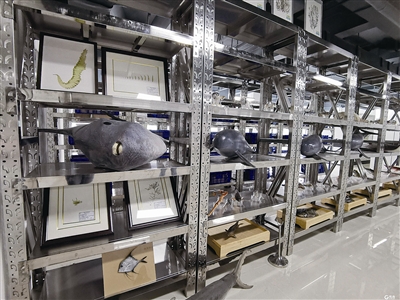 10余萬份樣品將入海洋漁業生物“資源庫”