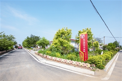 拿出青島擔當：打造鄉村振興齊魯樣板先行區