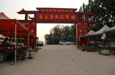 定陶區南王店鎮王樓村：西瓜產業托舉鄉村振興夢