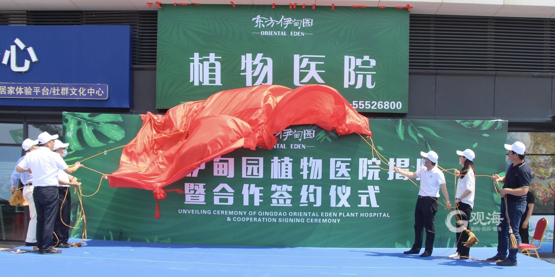 植物生病也可以住院了 省內景區首家植物醫院落地青島