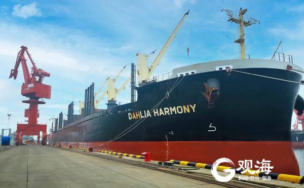 16天直達北美！山東港口青島港開通中國北方港口首條美西件雜貨班輪航線