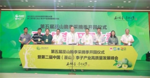 與“李”相約！巫山縣成功舉辦第五屆巫山脆李采摘季開園儀式 