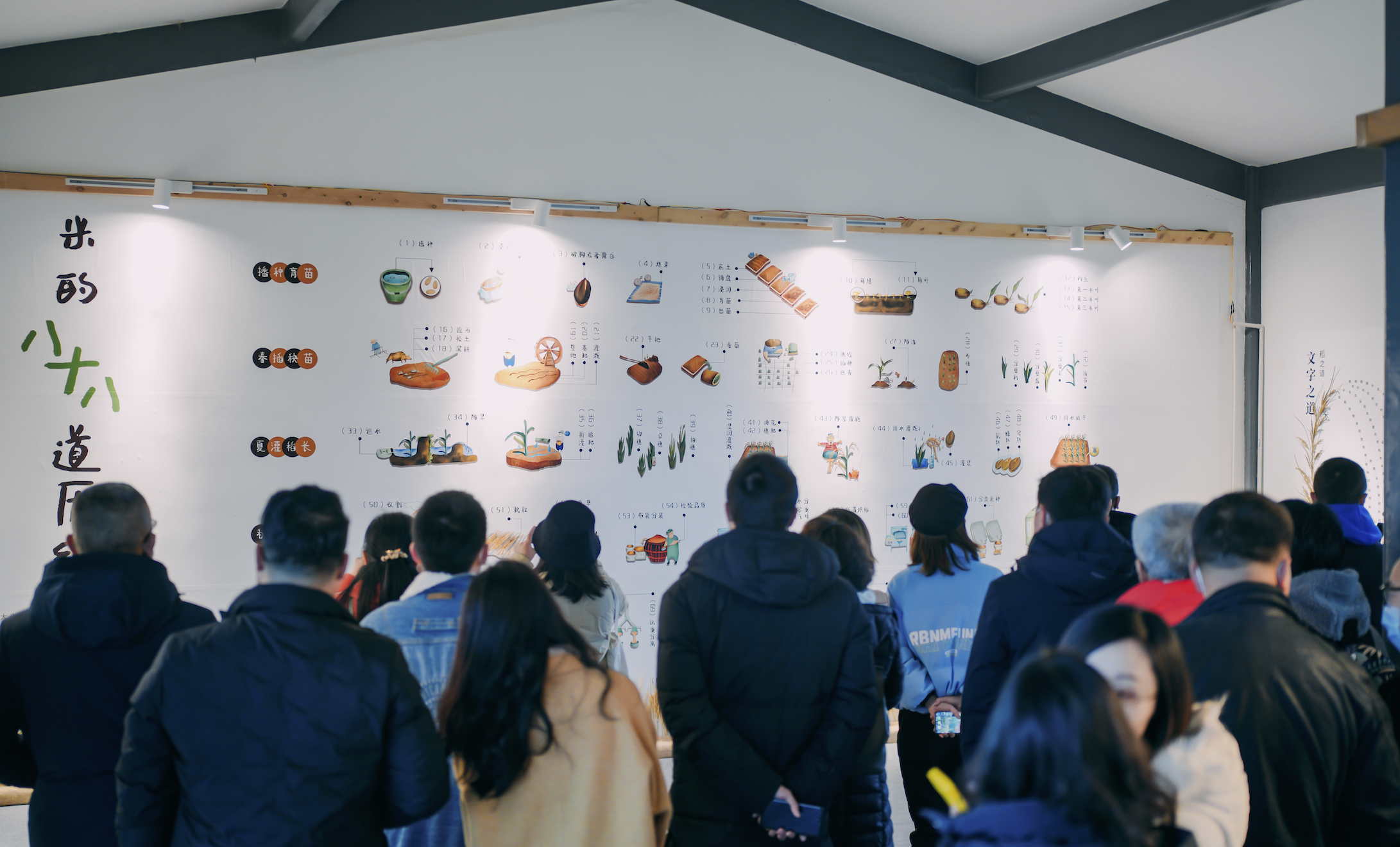 把鄉村搬進博物館，凡樸稻米文化展探索鄉村振興新玩法