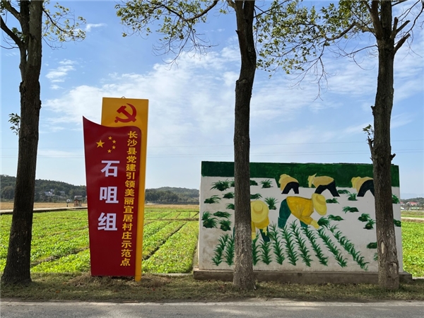  湖南長沙：乘東風搭快車，共繪“鄉村振興”壯闊畫卷 