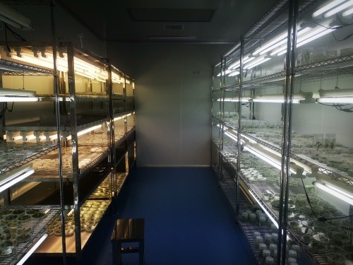 武漢艾迪晶生物用神奇“剪刀”為農業發展保駕護航