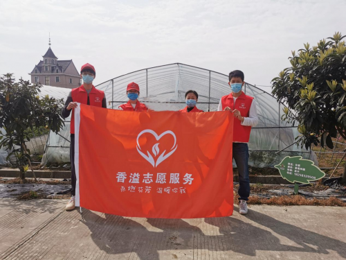 “莓”好時光采摘忙 “香溢”助農顯擔當