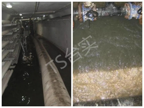 臺實技術干貨大放送 全國首個獲魯班獎環海管廊透水搶險工程