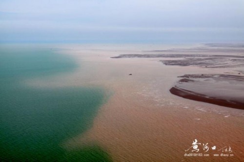 聲名從此大 汩沒一朝伸——2022東營市旅游發展大會側記