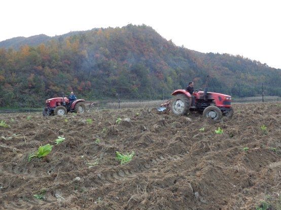 門古寺鎮積極開展冬耕曬垡
