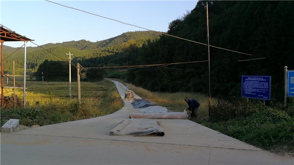 福建順昌：七年幫扶結碩果 鄉村振興普新篇