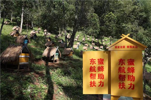 東航幫扶項目“滄源蜜蜂”首度贏得蜂種銷售訂單