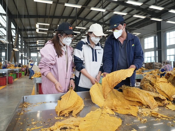 石林復烤廠： “師帶徒”助力“新生代”成長邁上“新高度”