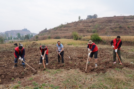 1701336399718415.jpg 2.jpg