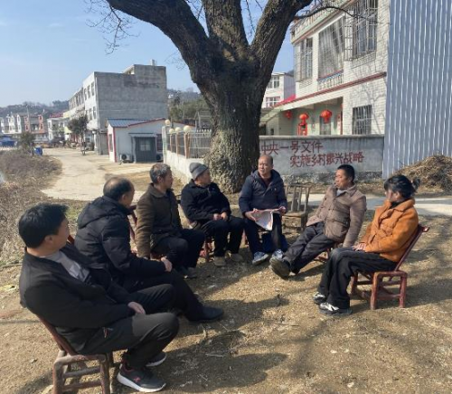 共赴“鄉”約，聚力發展