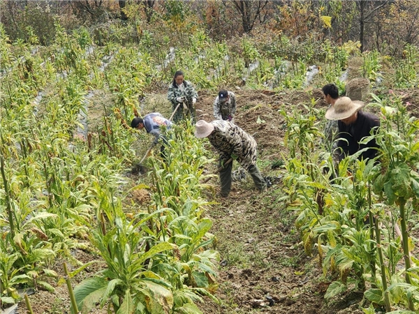 歲末收尾迎新春 夯實基礎向未來