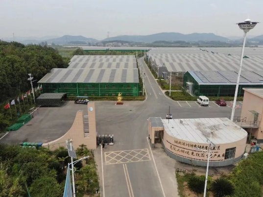 “東方阿保：運鴻集團引領數字經濟新篇章，加速全球化產業布局