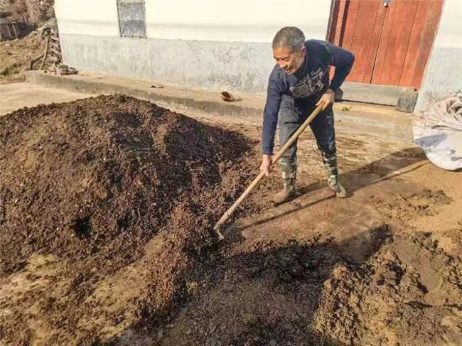 深入推進餅肥發酵工作，助力煙葉質量穩步提升