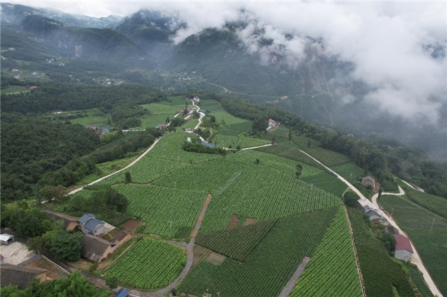 聽！來自土家山寨悠揚和美的聲音