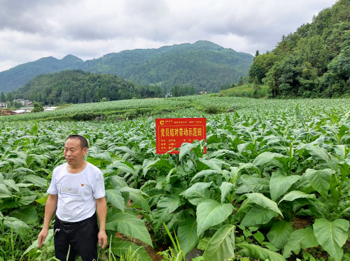在希望的田野演繹精彩人生