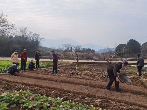 用心用情 “香溢”助農暖人心