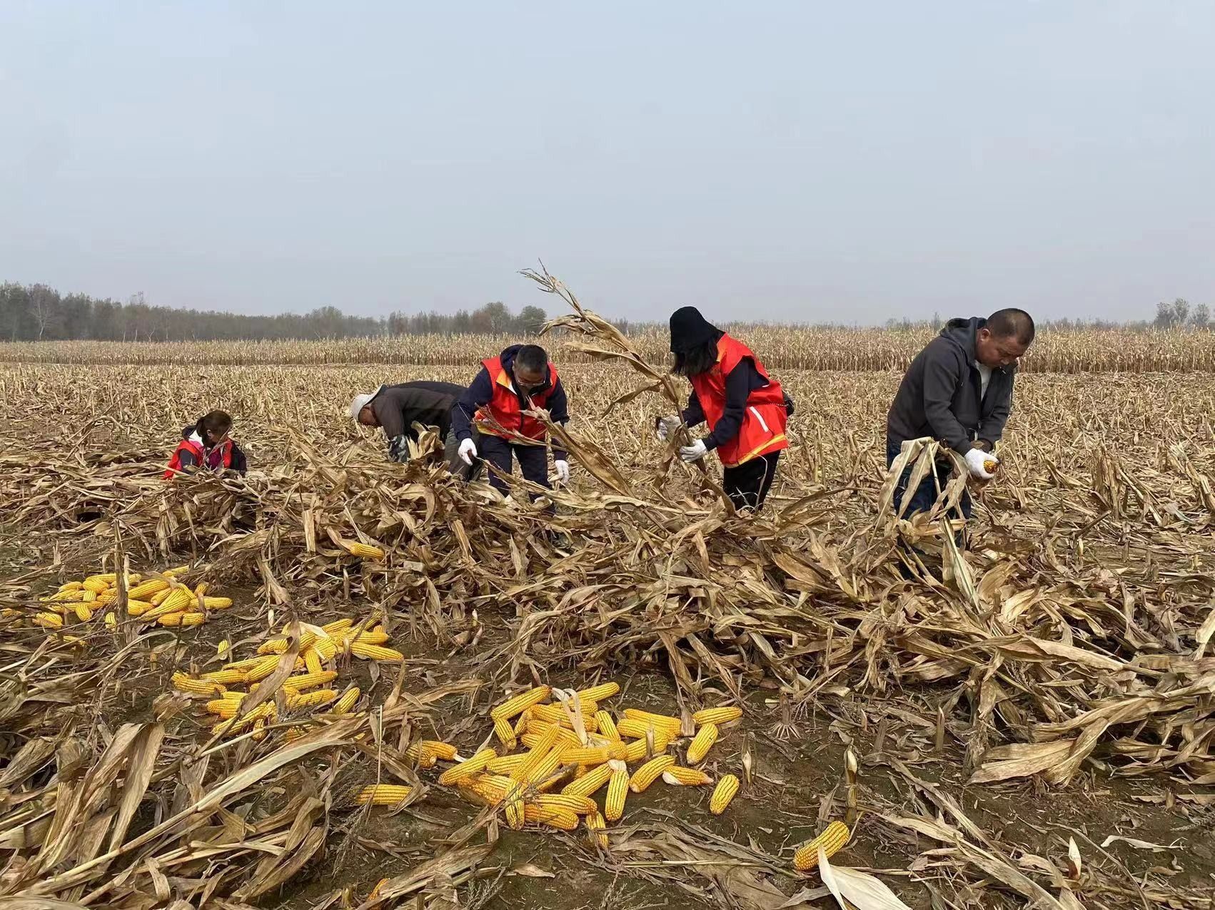 堅持學思行結合 傳承雷鋒精神