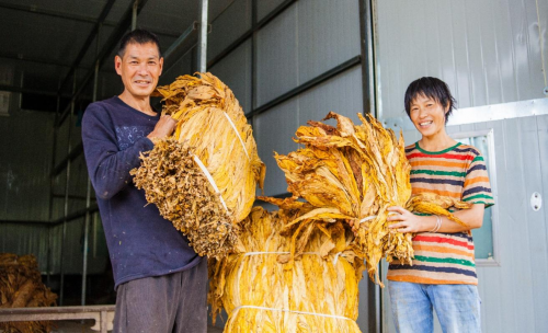 胡美華的“較勁”