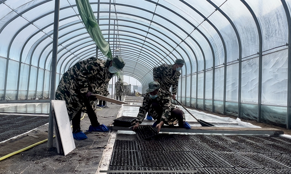 ?陜西咸陽煙草：迎雪而戰保烤煙生產