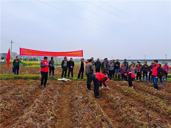 湖南茶陵煙草深化黨業融合 寫好煙農服務“三篇文章”
