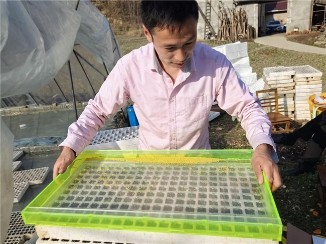 搶抓時令促生產 夯實產業助振興