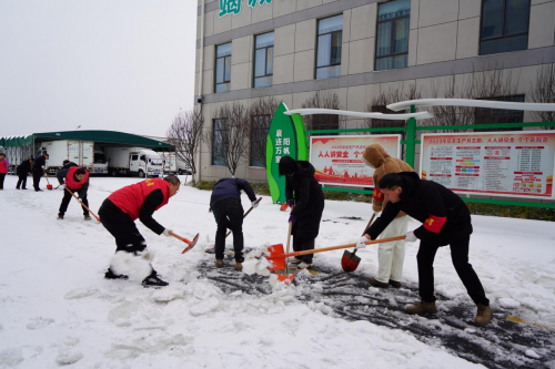 黨旗飄揚我擔當,迎寒而上戰風雪