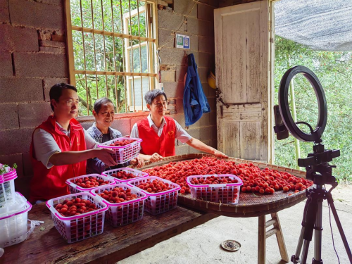 浙江德清：向“數”而行 小終端也有大作為