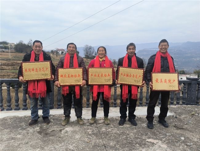 樹典型揚新風正氣 長陽煙區再“選美”