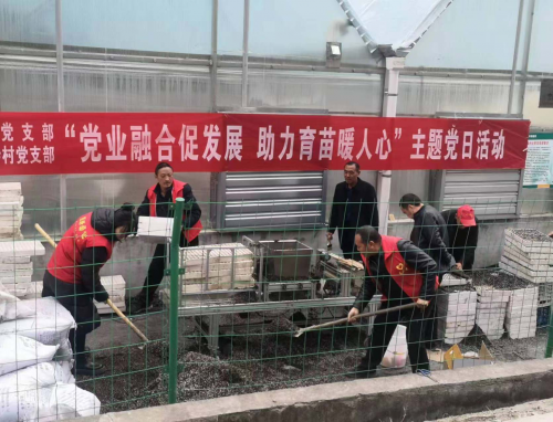 陜西旬陽：趕趁好春光 播種新希望